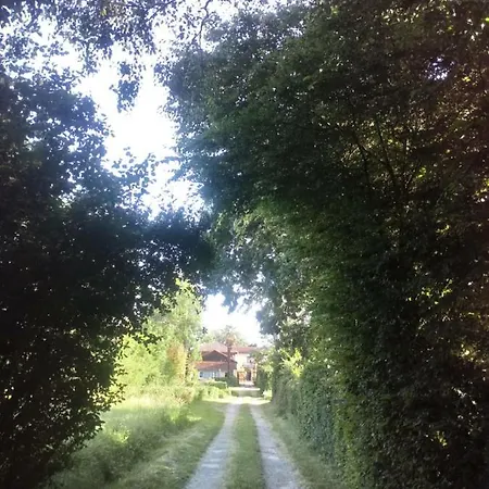 Gaja Troncens